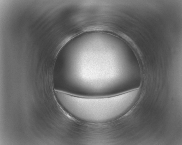 X0000055521337200508120812