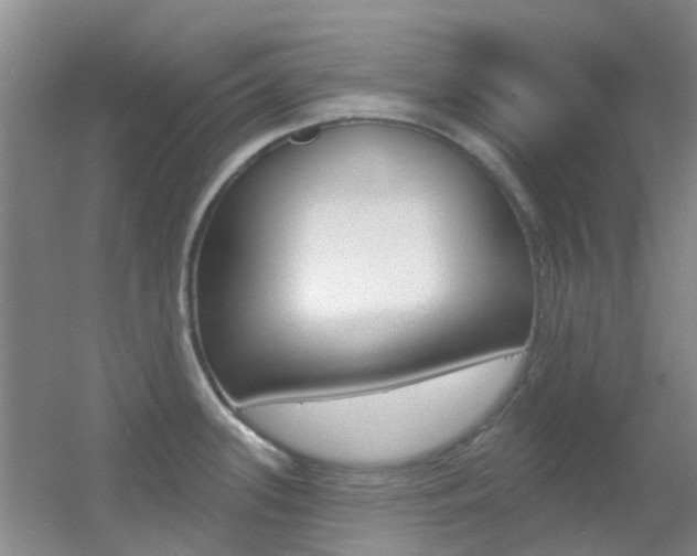 X0000055521339200508120812