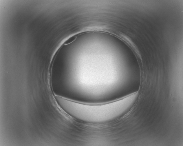 X0000055521340200508120812