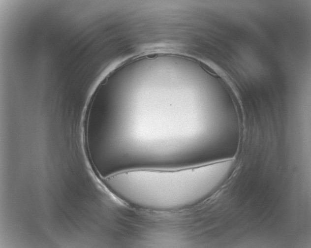 X0000055521341200508120812