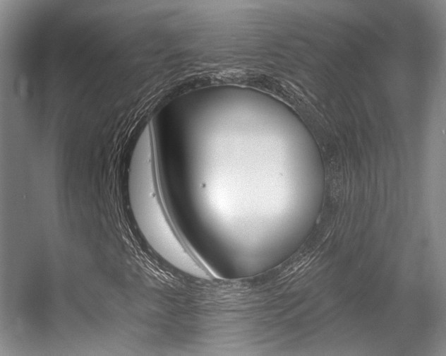 X0000055521345200508120811