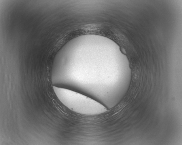 X0000055521346200508120811