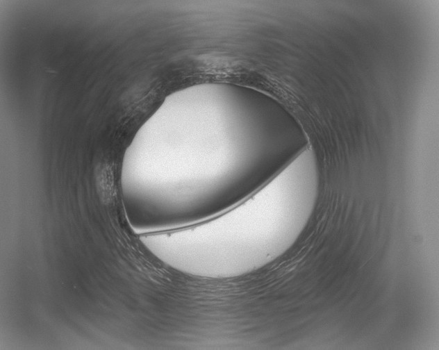 X0000055521347200508120811