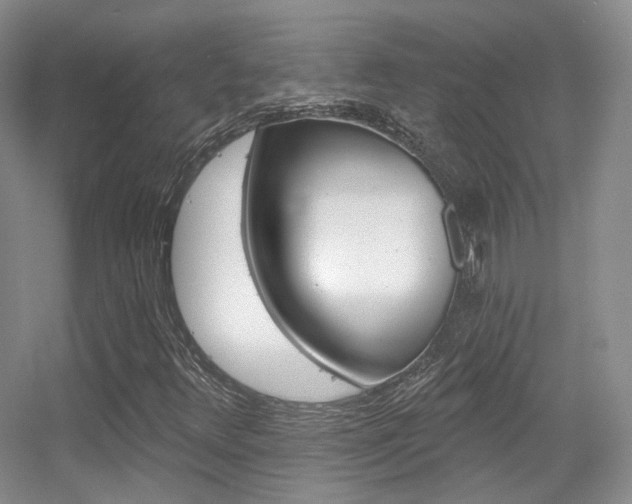X0000055521348200508120811