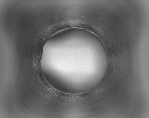X0000055521349200508120811
