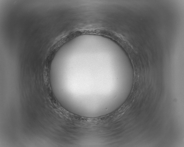X0000055521350200508120811