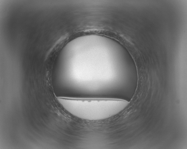 X0000055521351200508120811