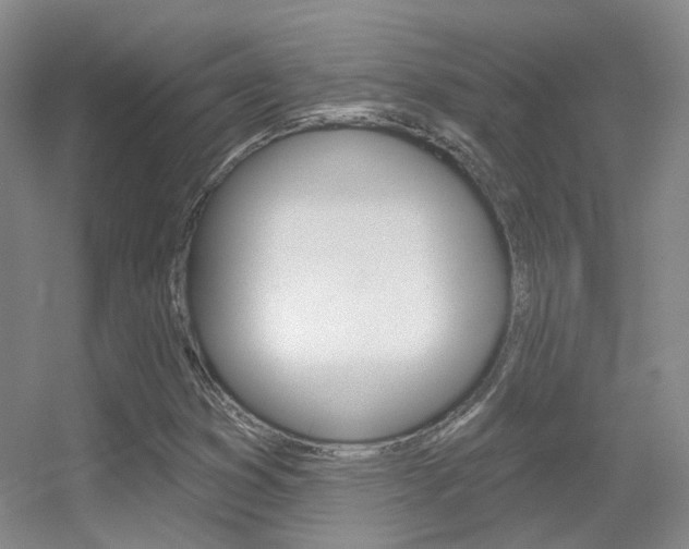 X0000055521353200508120811