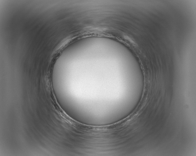 X0000055521354200508120811