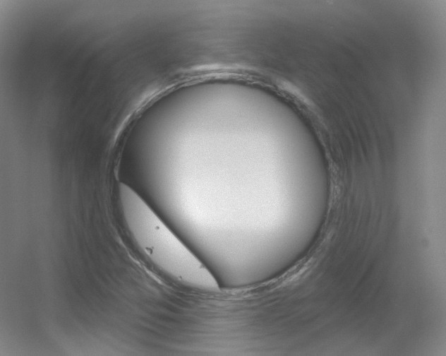 X0000055521357200508120811