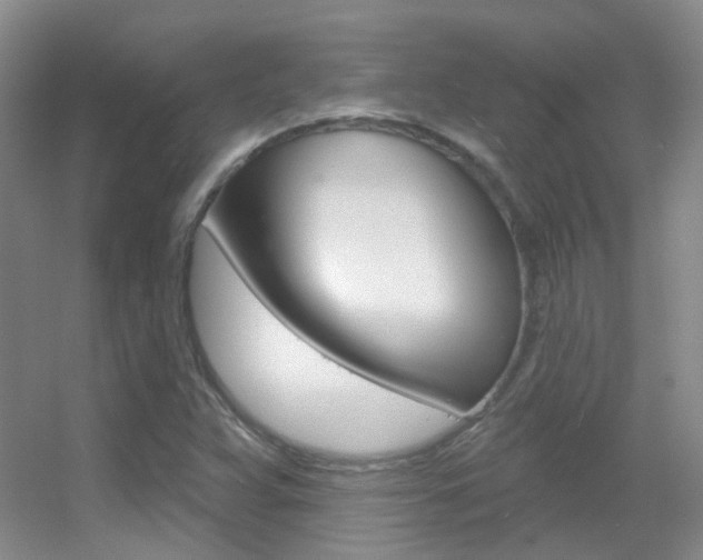X0000055521359200508120811