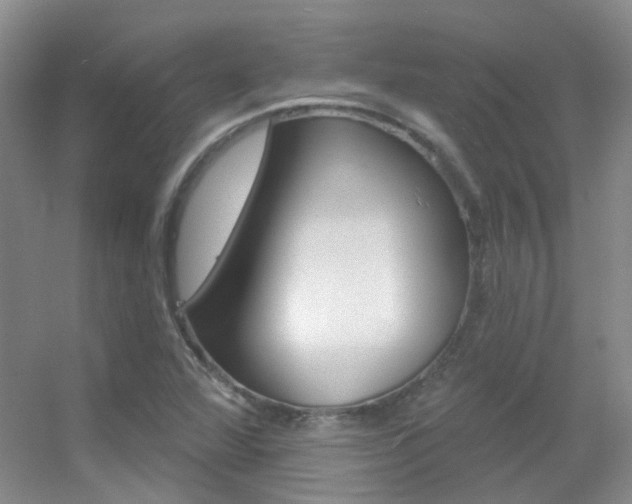 X0000055521360200508120811