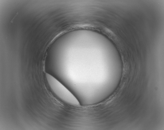 X0000055521361200508120811