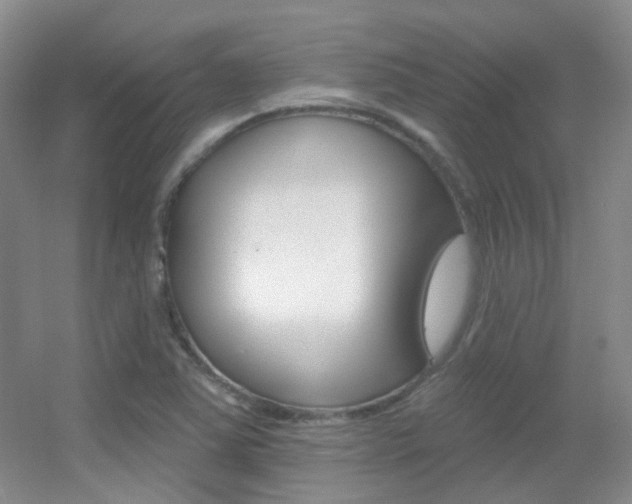 X0000055521363200508120811