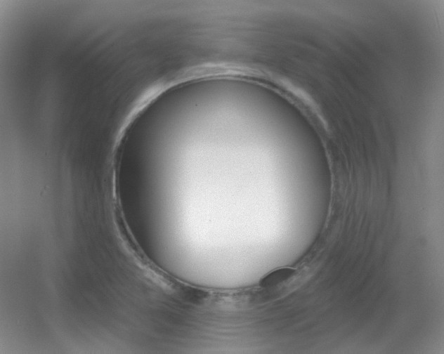 X0000055521365200508120811
