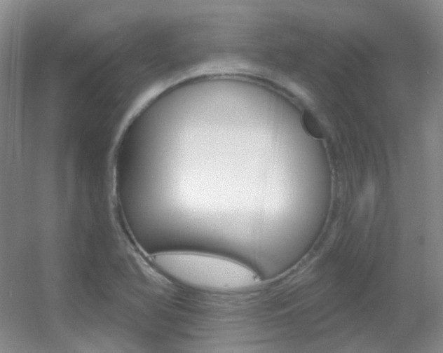 X0000055521366200508120811