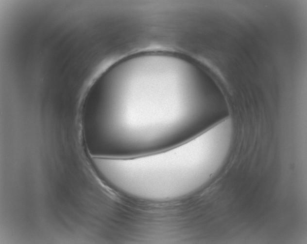 X0000055521367200508120811