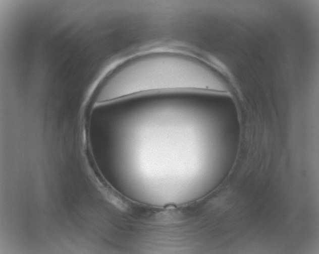 X0000055521368200508120811