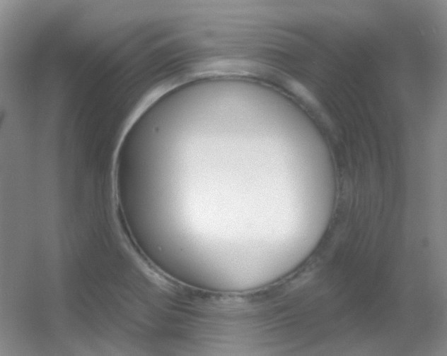 X0000055521370200508120811