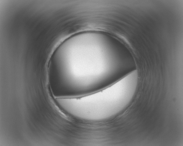 X0000055521371200508120810