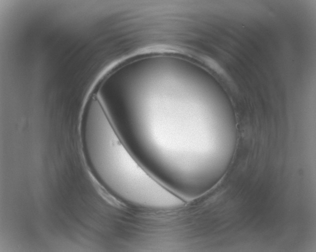 X0000055521372200508120810