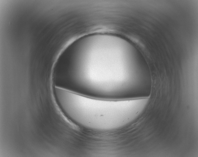X0000055521375200508120810