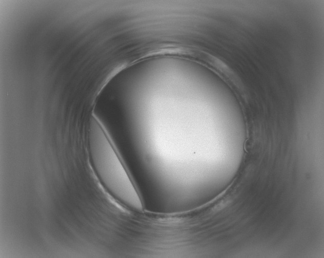 X0000055521377200508120810