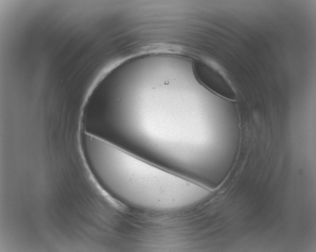 X0000055521379200508120810