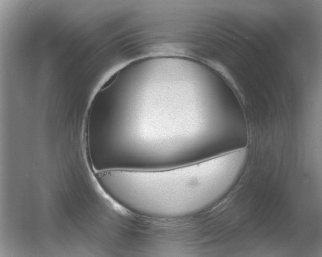 X0000055521387200508120810
