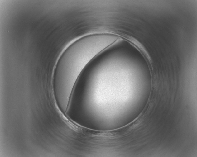 X0000055521388200508120810