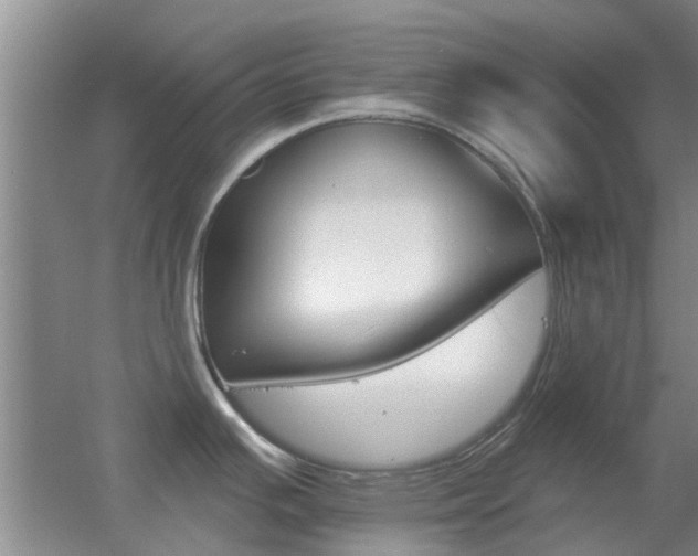 X0000055521391200508120810