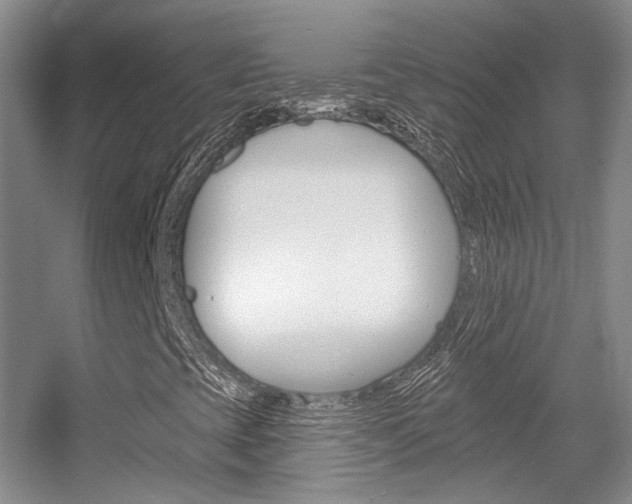 X0000055521393200508120809