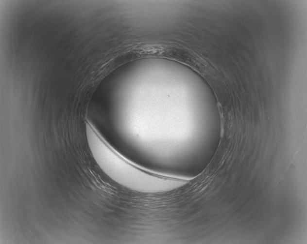 X0000055521394200508120809