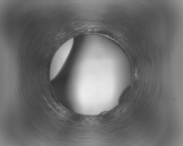 X0000055521396200508120809