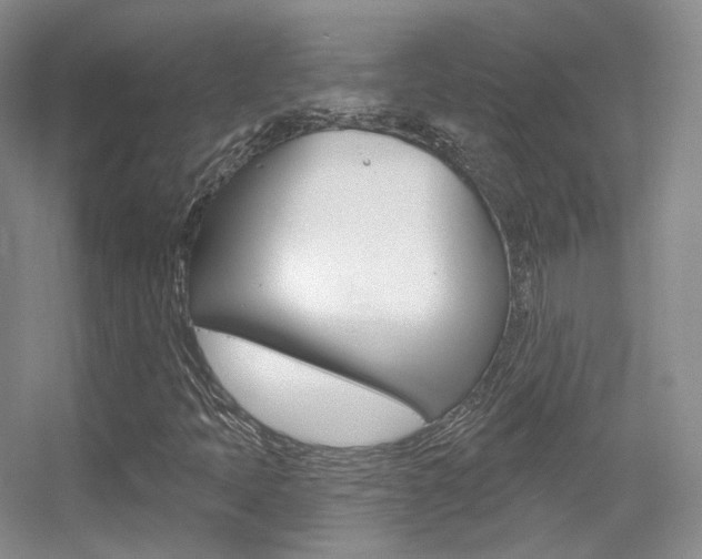 X0000055521397200508120809
