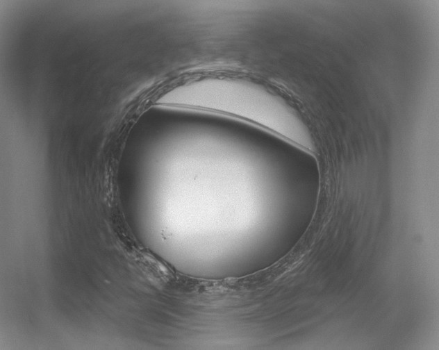 X0000055521398200508120809