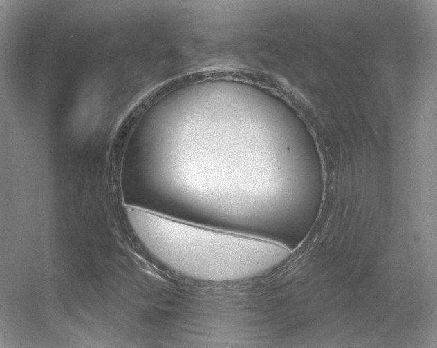 X0000055521400200508120809