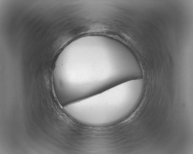 X0000055521401200508120809