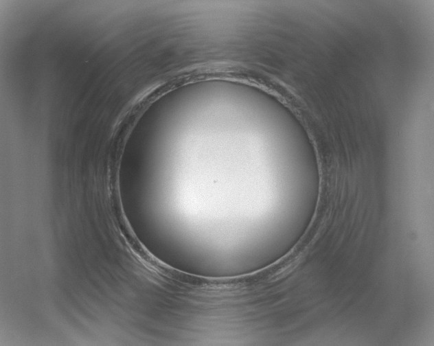 X0000055521402200508120809