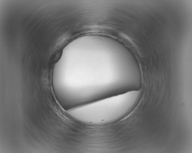 X0000055521403200508120809
