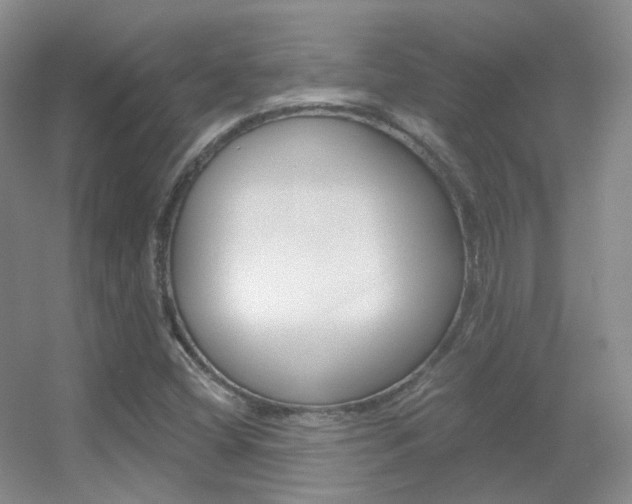 X0000055521404200508120810