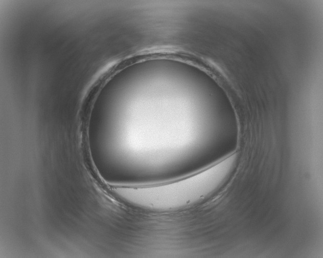 X0000055521406200508120810