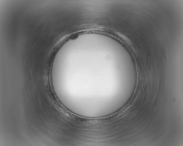X0000055521407200508120810