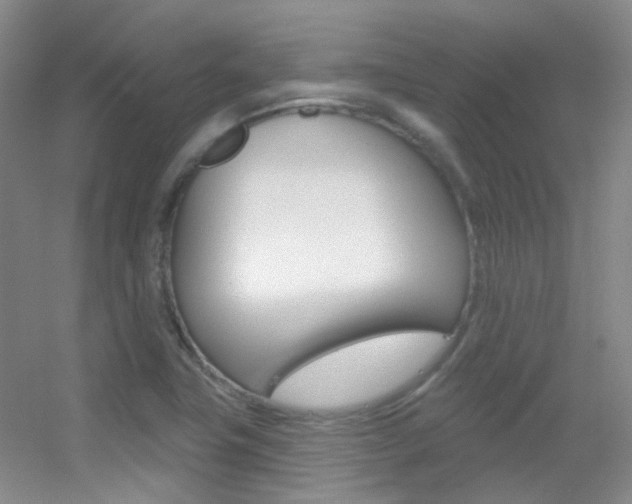 X0000055521411200508120810