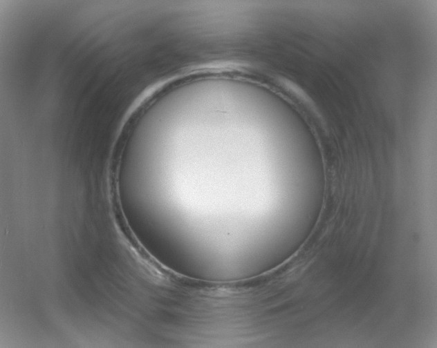 X0000055521412200508120810