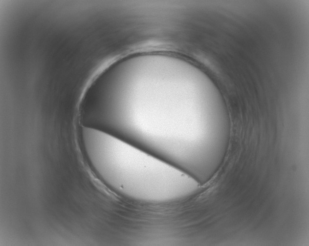 X0000055521413200508120810