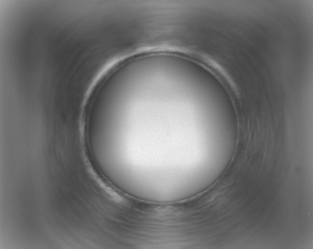 X0000055521416200508120810