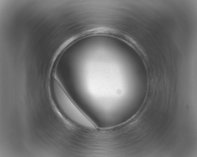 X0000055521418200508120810