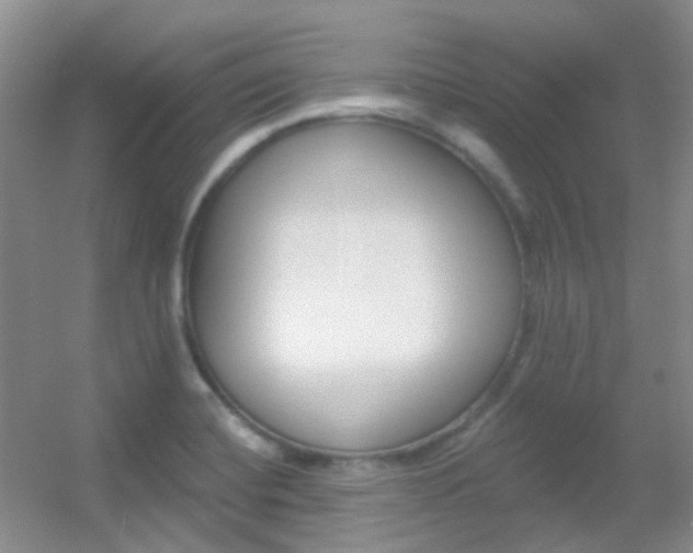 X0000055521420200508120810