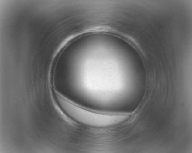 X0000055521422200508120810